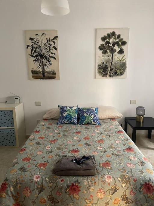 Apartmán Oasis Las Palmas de Gran Canaria Exteriér fotografie